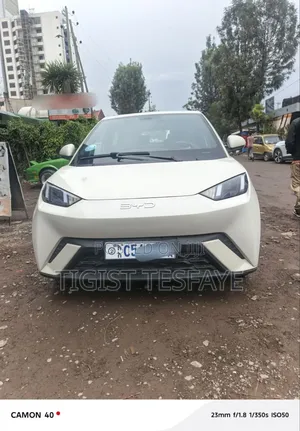BYD Seagull 2025 White