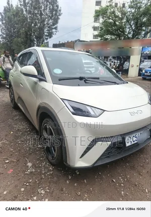 BYD Seagull 2025 White