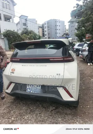 BYD Seagull 2025 White