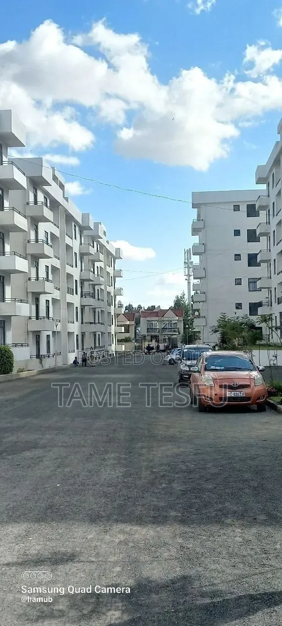 Furnished 2bdrm Apartment in ሀያት, Bole for sale
