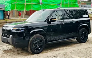 New BYD Leopard 7 2025 Black
