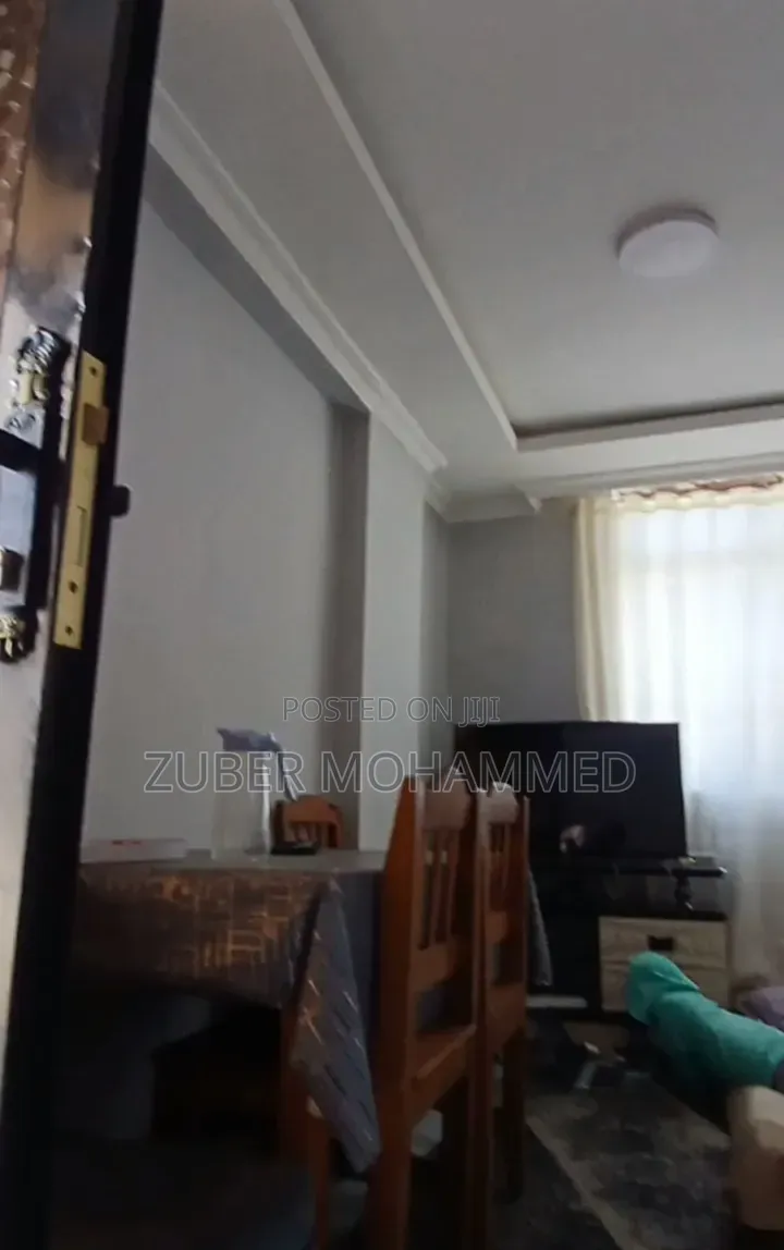 Furnished 2bdrm Apartment in Bole Arabsa for sale