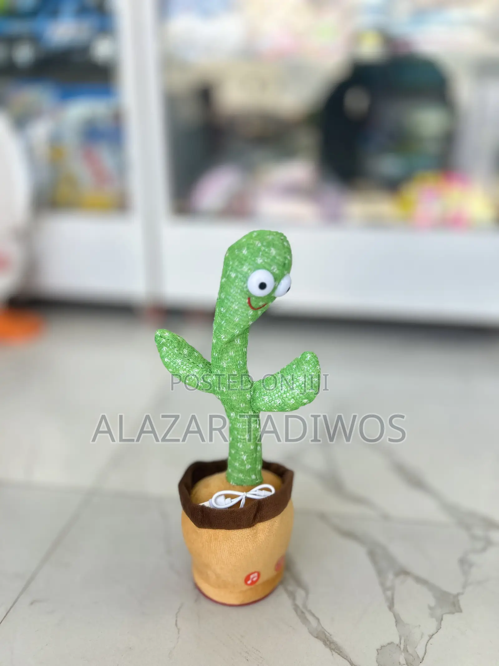 Repeating Voice Toy