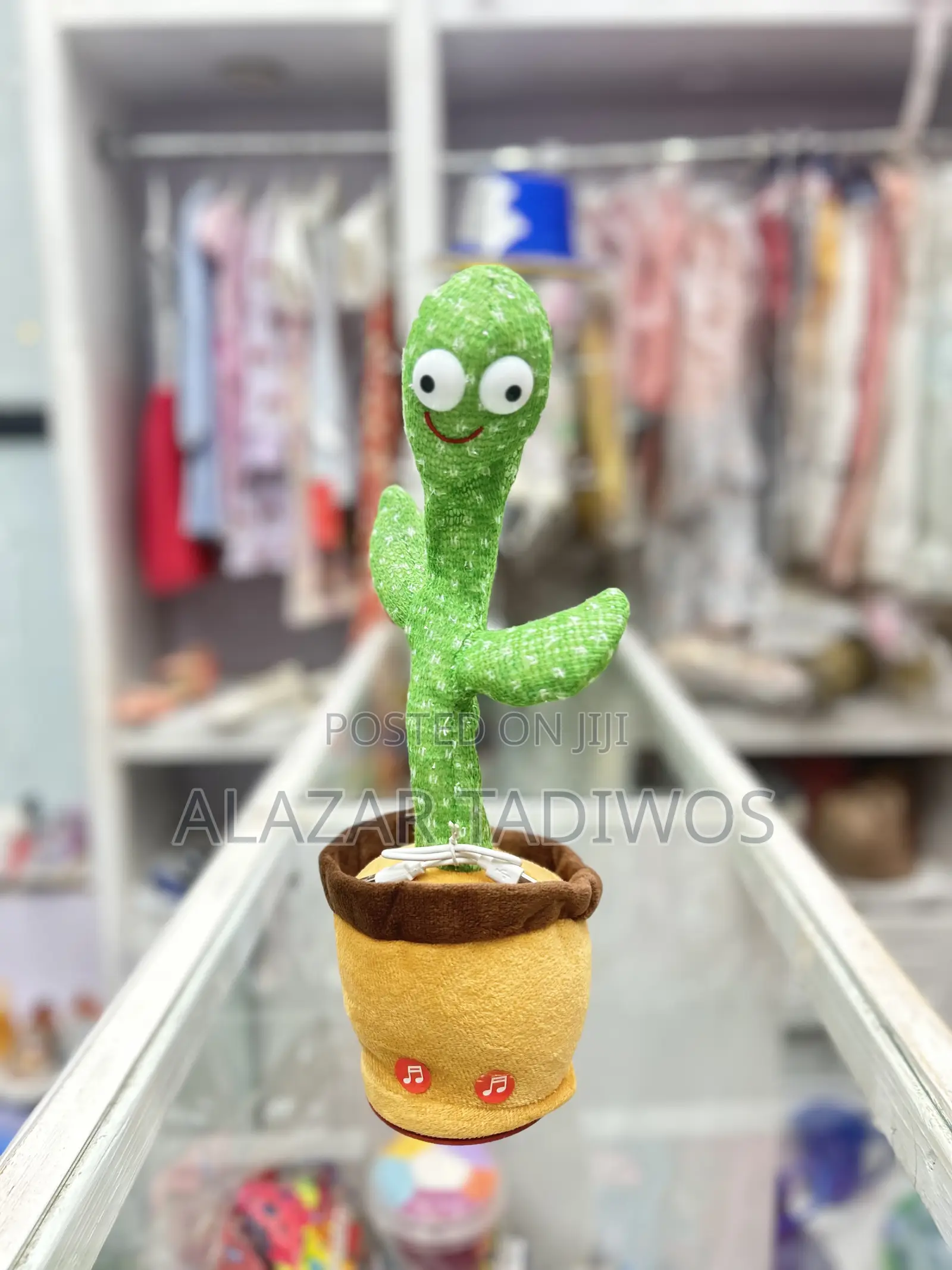 Repeating Voice Toy