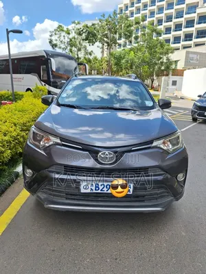 Toyota RAV4 LE AWD (2.5L 4cyl 6A) 2017 Gray