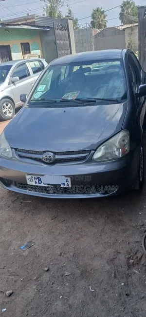 Toyota Platz 2005 Gray