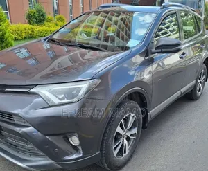 Toyota RAV4 2017 Gray