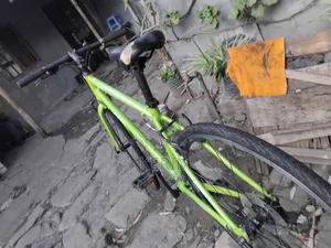 Brand New Nesto Bicycle