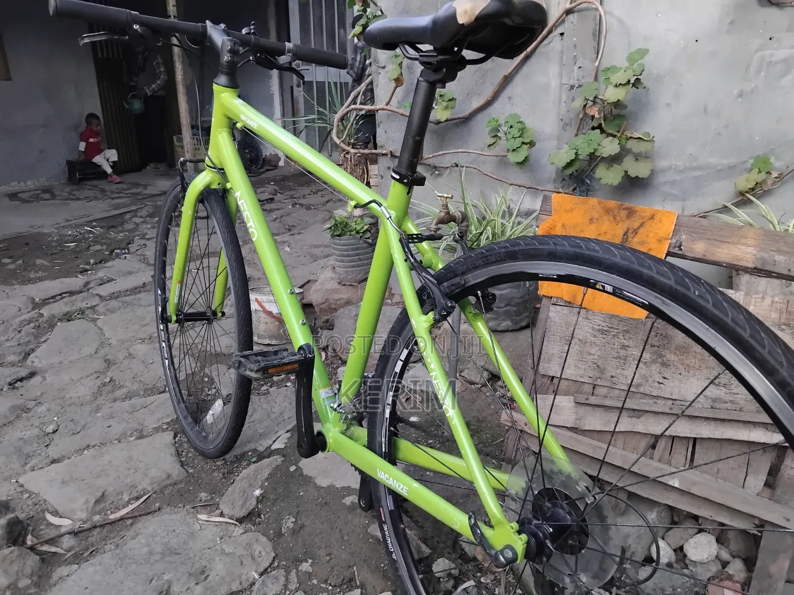 Brand New Nesto Bicycle