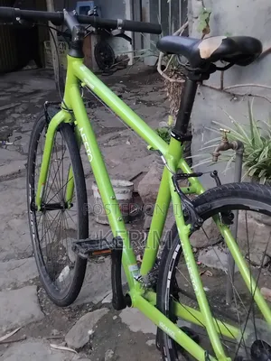 Brand New Nesto Bicycle