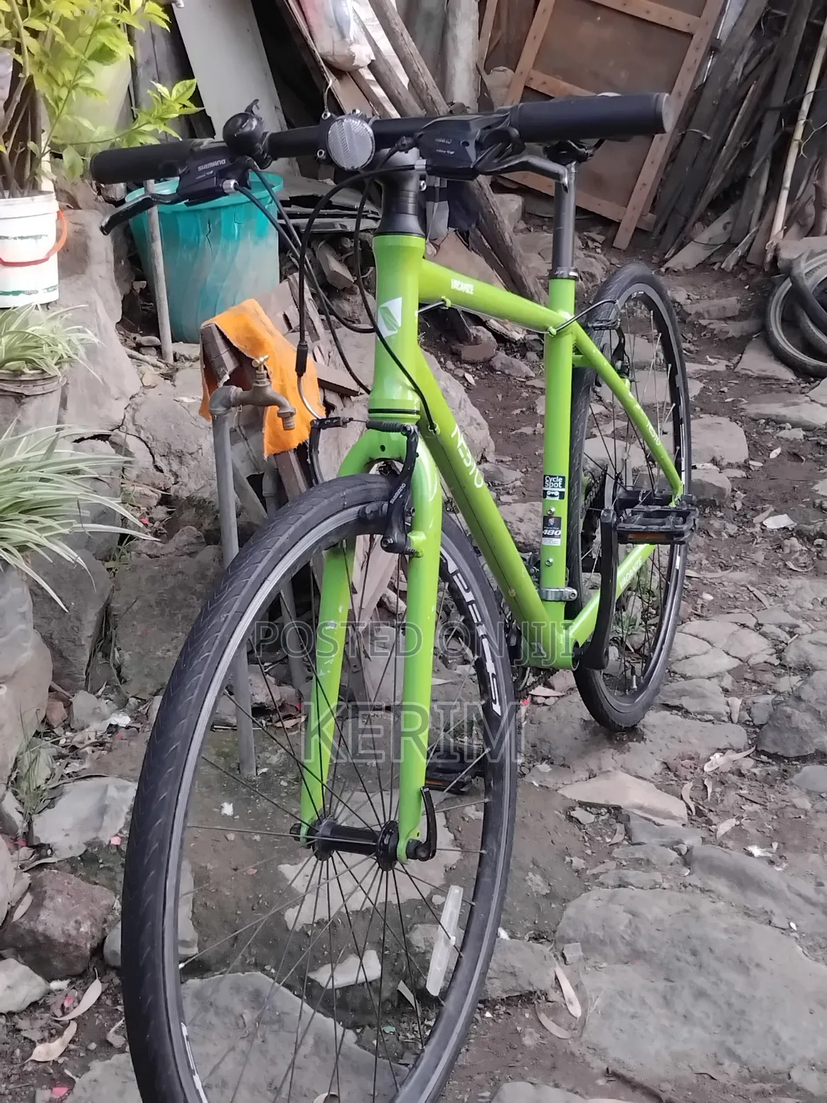 Brand New Nesto Bicycle