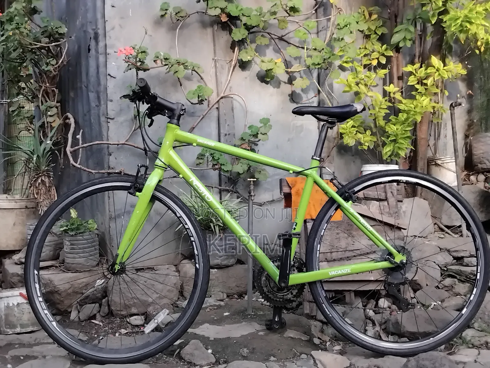 Brand New Nesto Bicycle