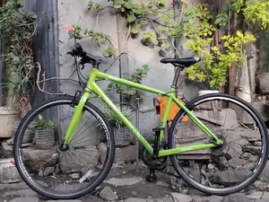 Brand New Nesto Bicycle