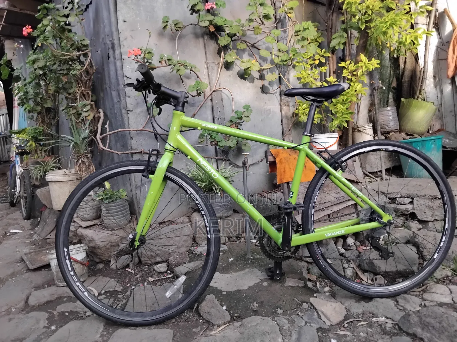 Brand New Nesto Bicycle