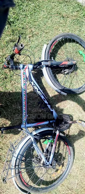 Phoenix Road Bike