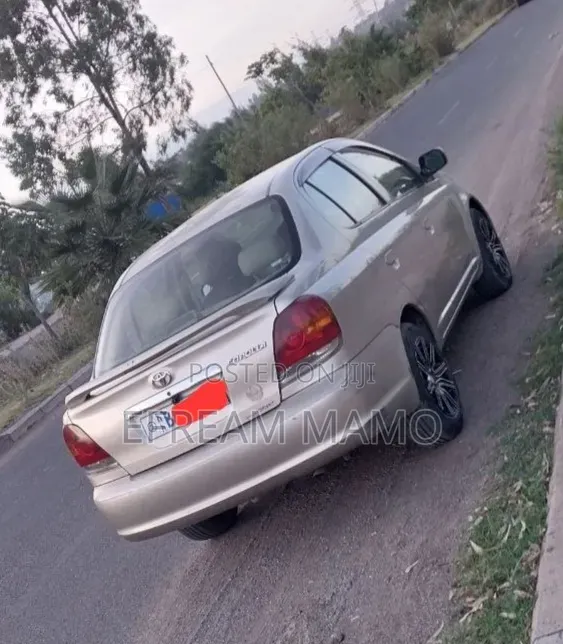 Toyota Platz 2005