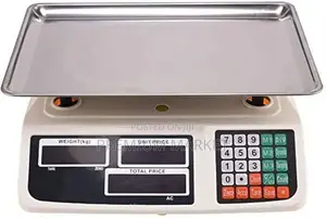 Digital Scale FF1976 በ ቻርጅ የሚሰራ ዲጂታል ሚዛን