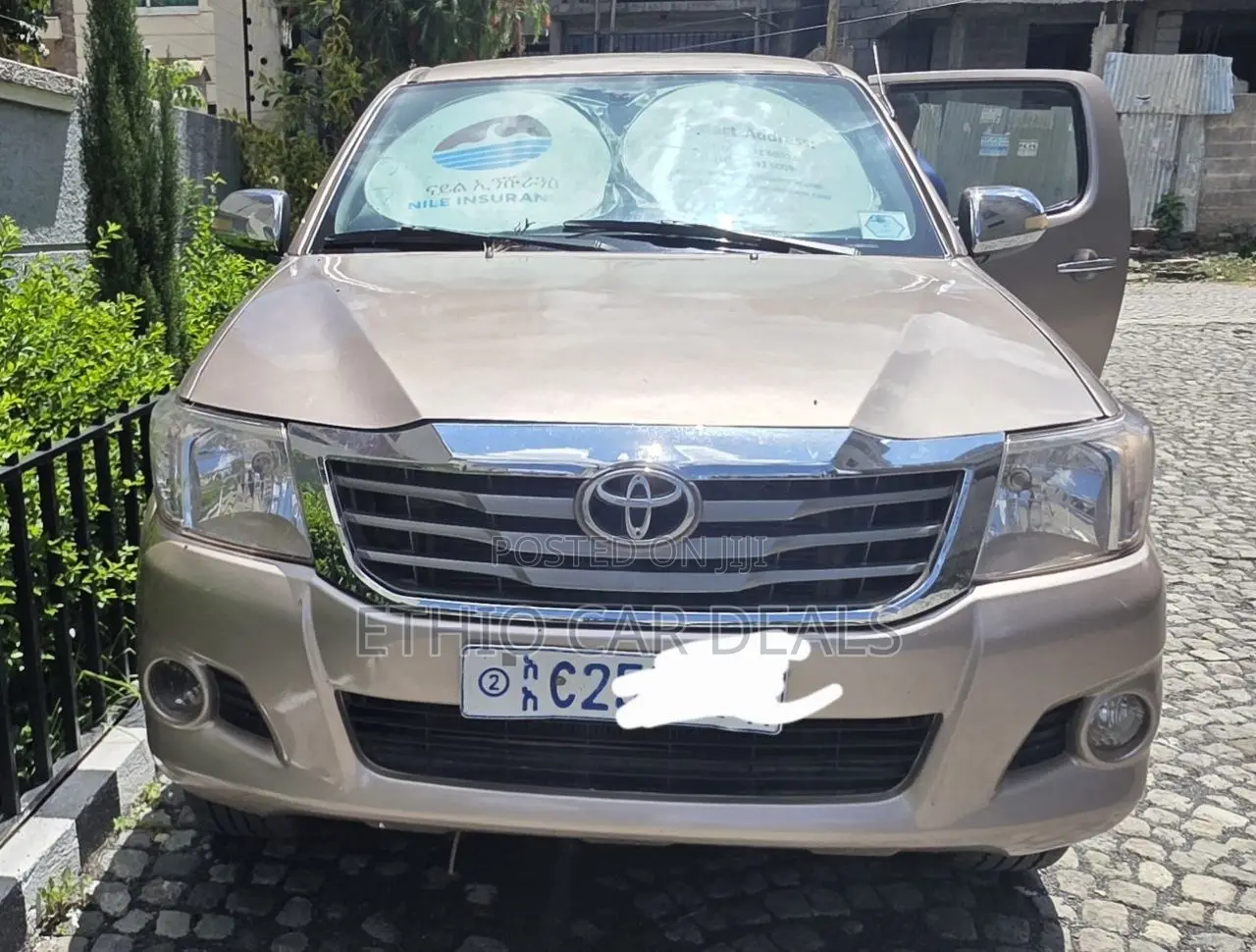 Toyota Hilux 2010 Brown