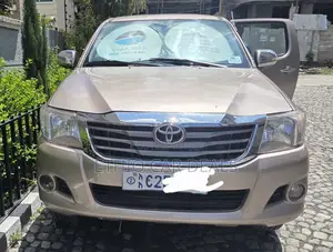 Toyota Hilux 2010 Brown