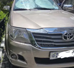 Toyota Hilux 2010 Brown