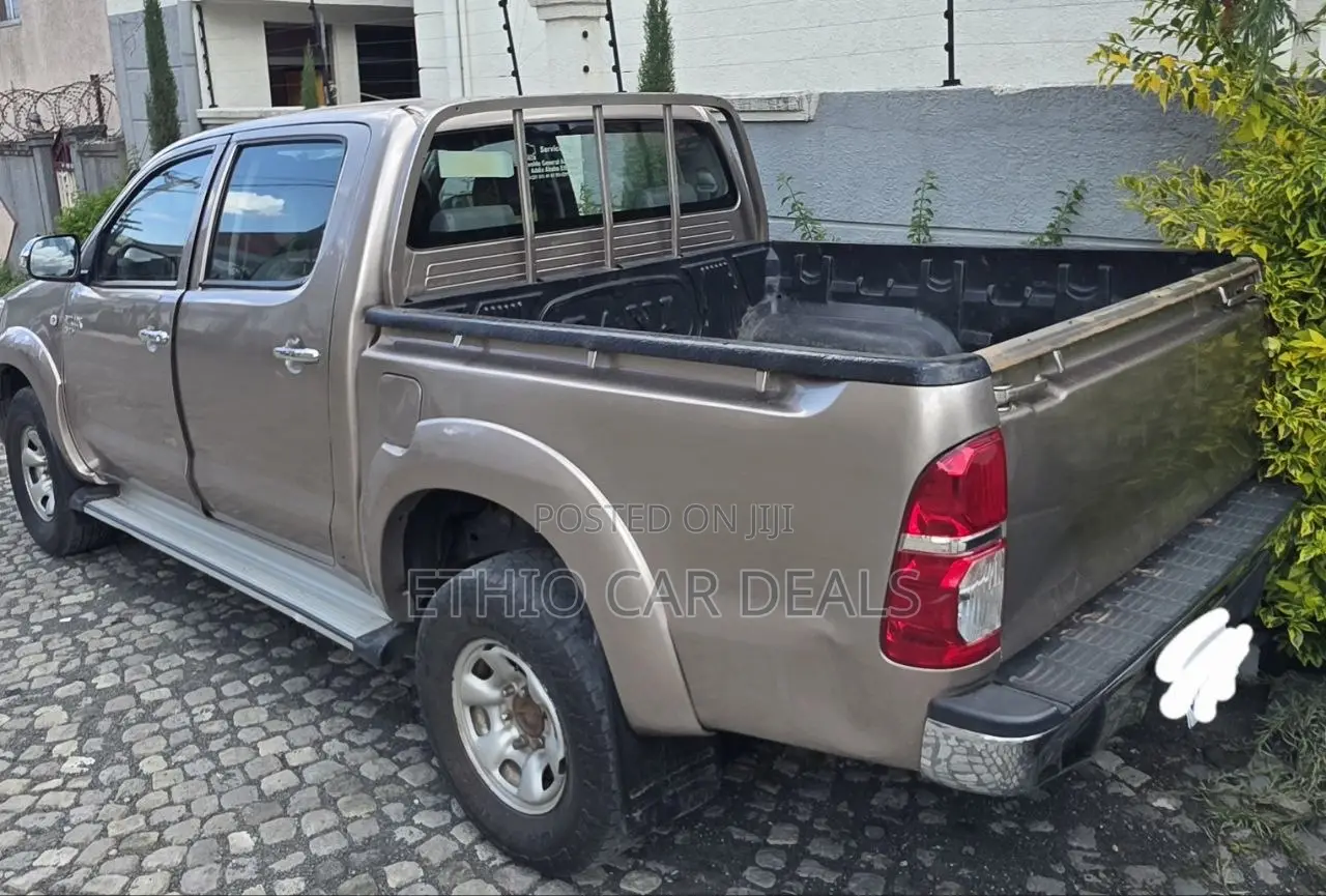 Toyota Hilux 2010 Brown
