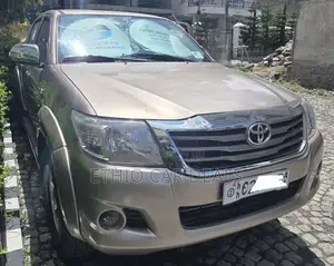 Toyota Hilux 2010 Brown