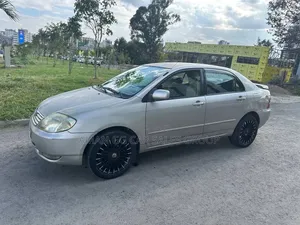 Toyota Corolla 2003 Teal