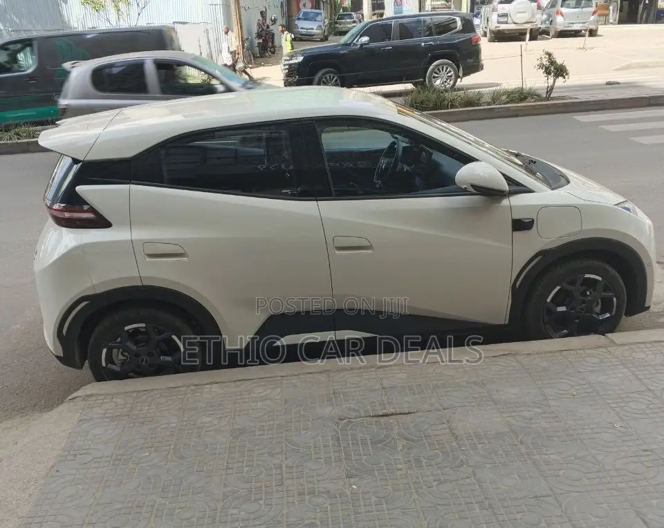 BYD Seagull 2025 White