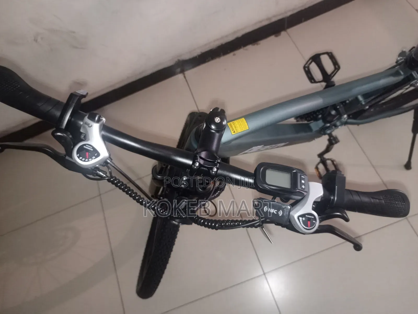 Flying Pigeon Ebike