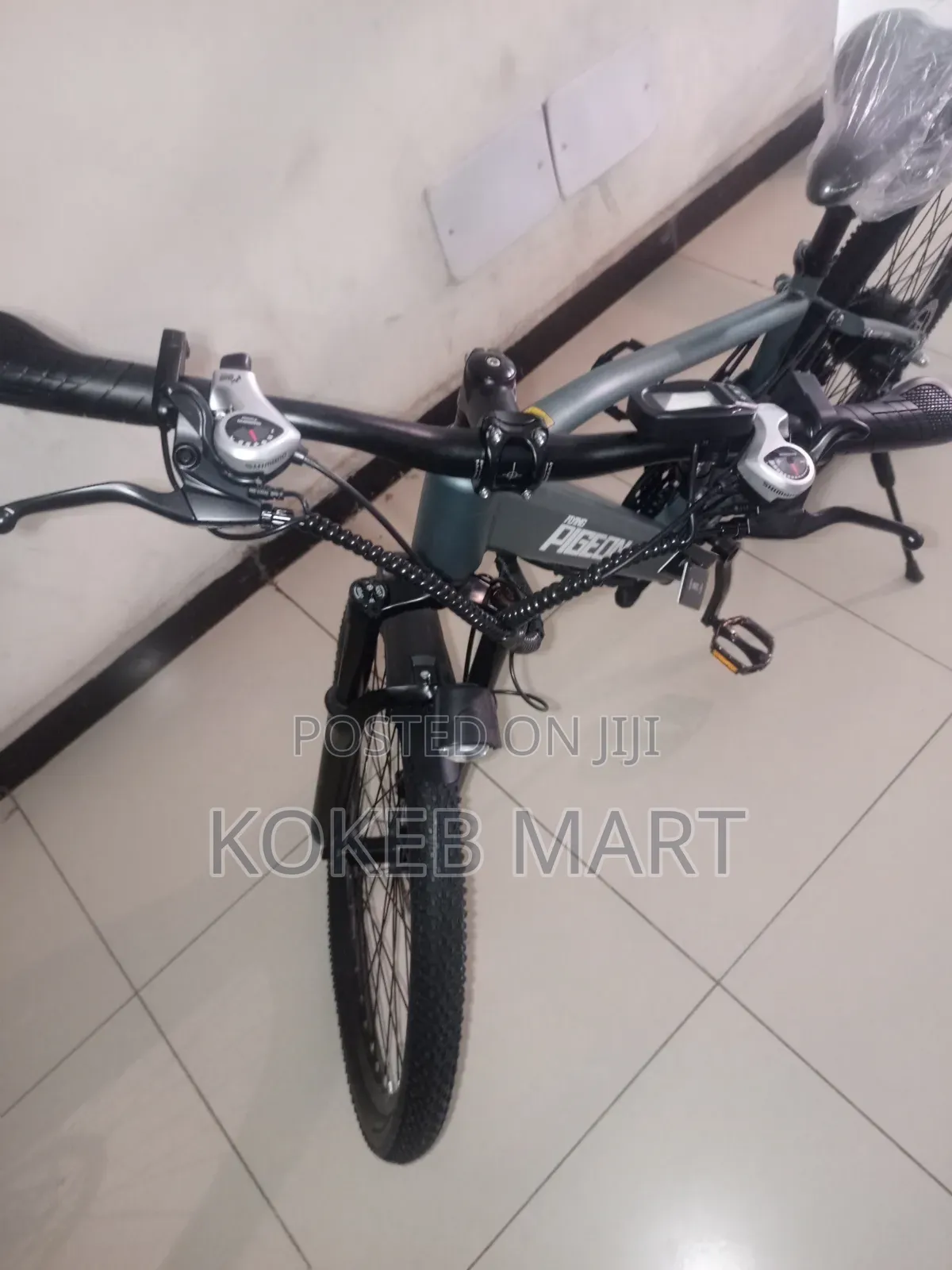 Flying Pigeon Ebike