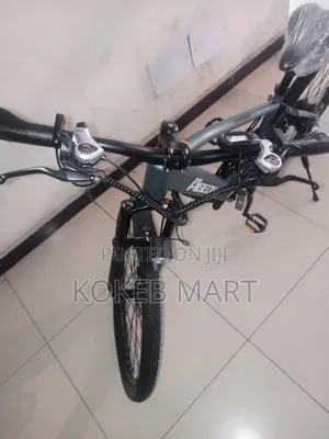 Flying Pigeon Ebike