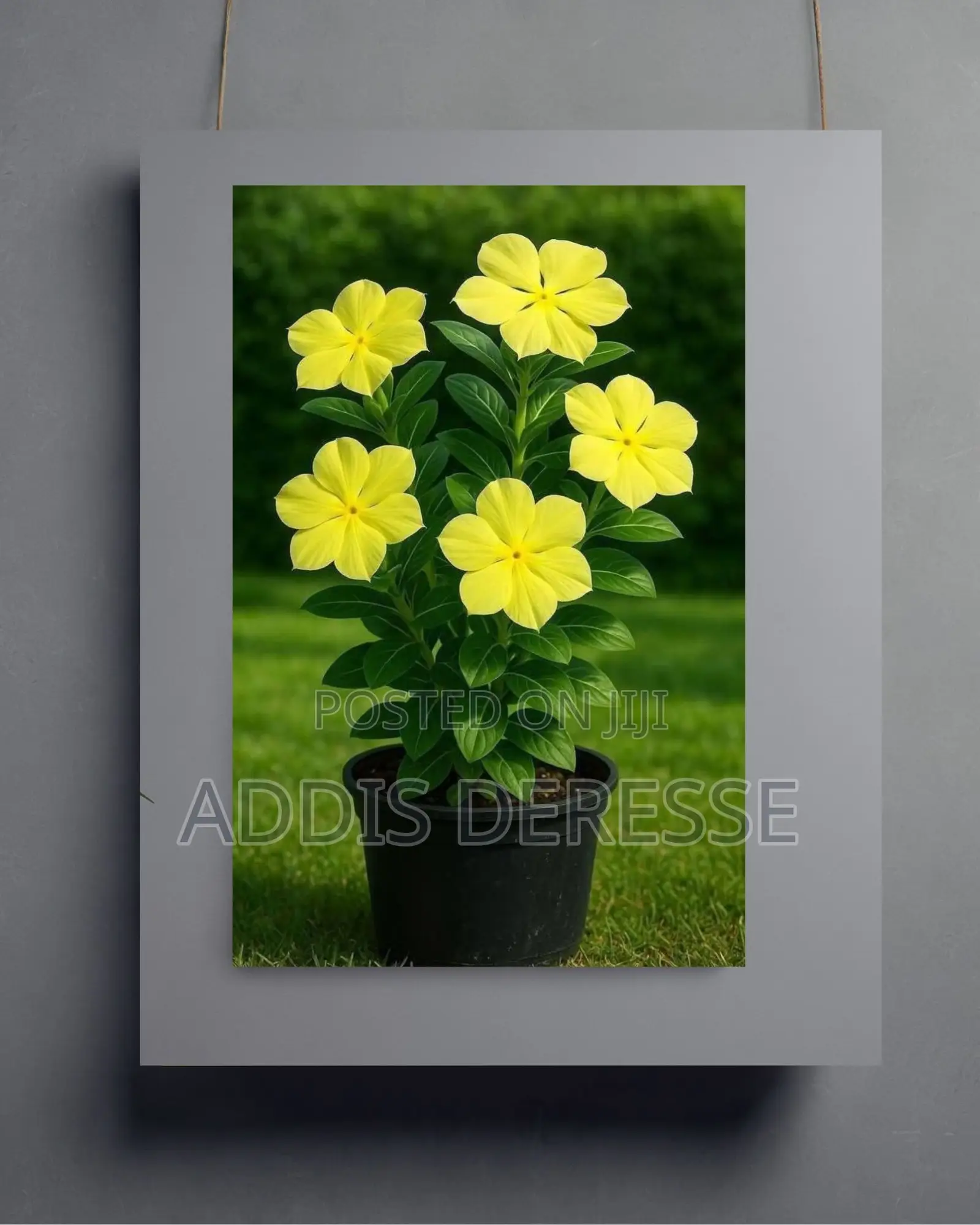 Vibrant Yellow Floral Wall Art