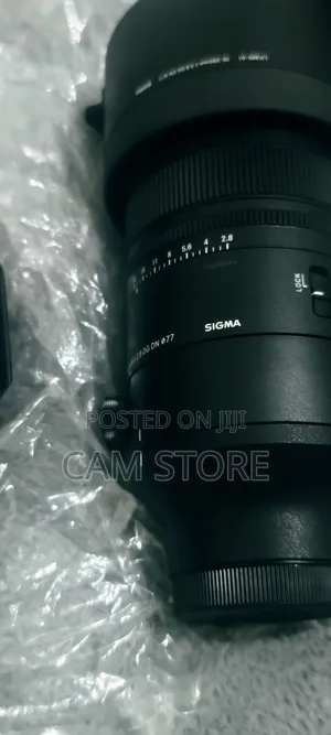 Sigma 70-200 Dg Dn for Sony