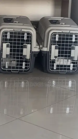 Standard Dogs Cage