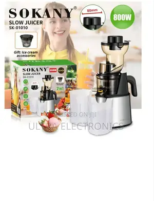 Sokany 800w Slow Juicer and Ice Cream Maker