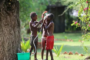 Portable Shower.