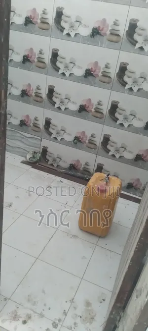 Furnished 3bdrm Condo in Ayat 49, Yeka for rent
