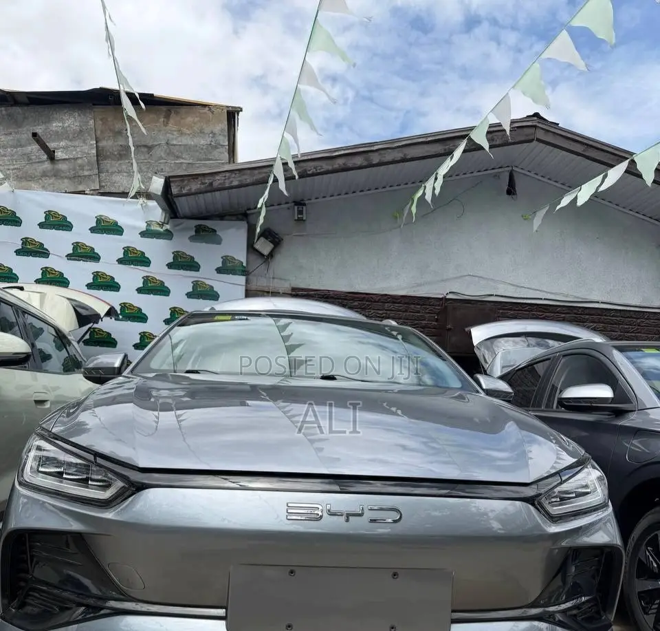 New BYD E2 43 kWh 94 hp FWD 2025 Gray
