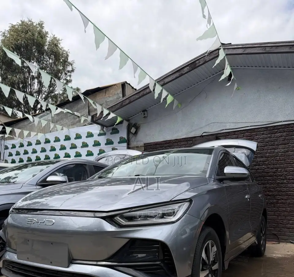 New BYD E2 43 kWh 94 hp FWD 2025 Gray