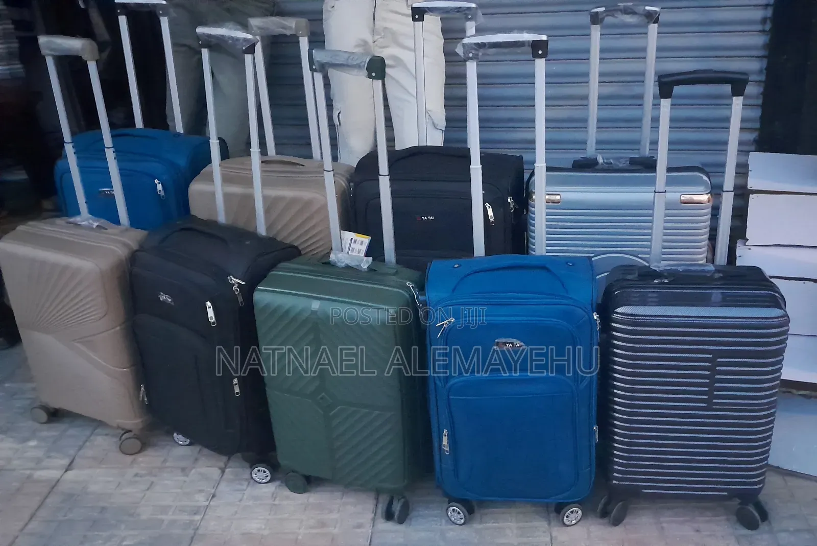 Luggage's Form M- Extra Large