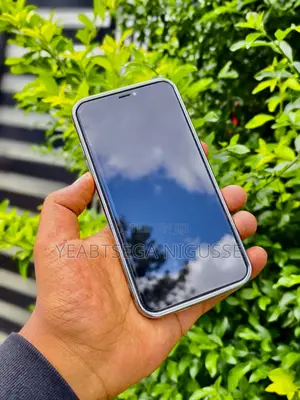 Apple iPhone XS Max 256 GB Gray