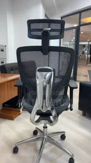Ergonomic Chair