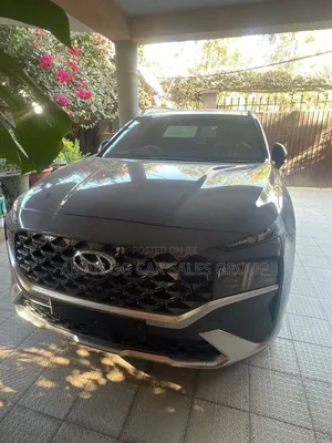 Hyundai Santa Fe 2023 Gray