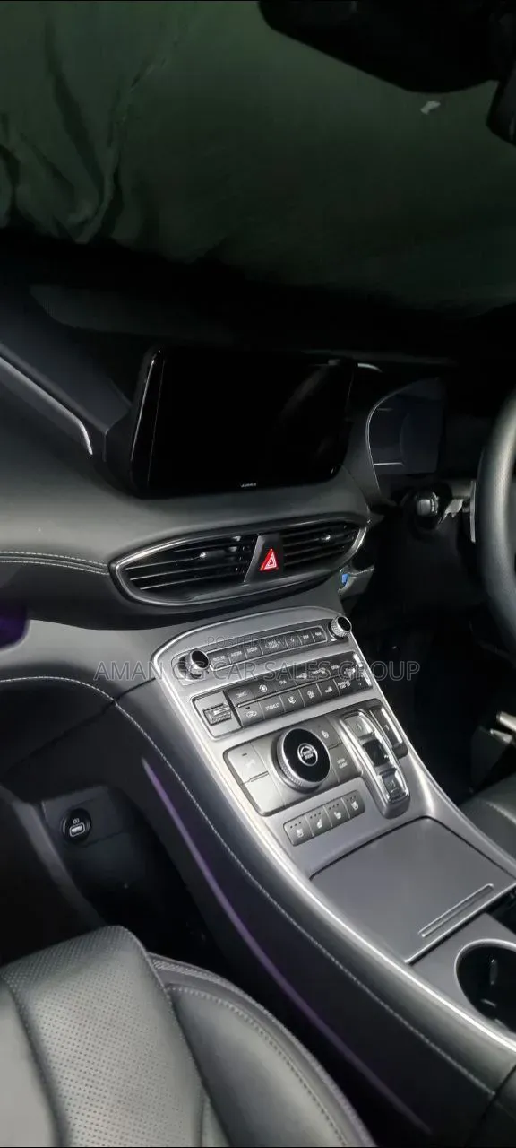 Hyundai Santa Fe 2023 Gray