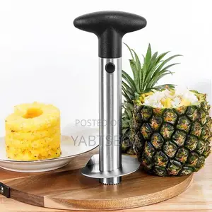 Pineapple Cutter Slicer Peeler