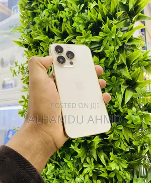 Apple iPhone 13 Pro 256 GB