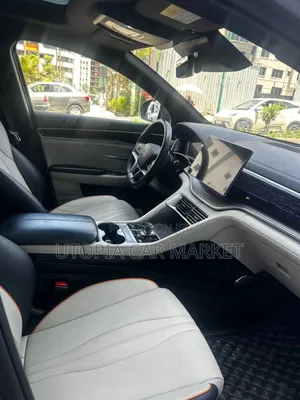 BYD Song Plus 2024 Gray