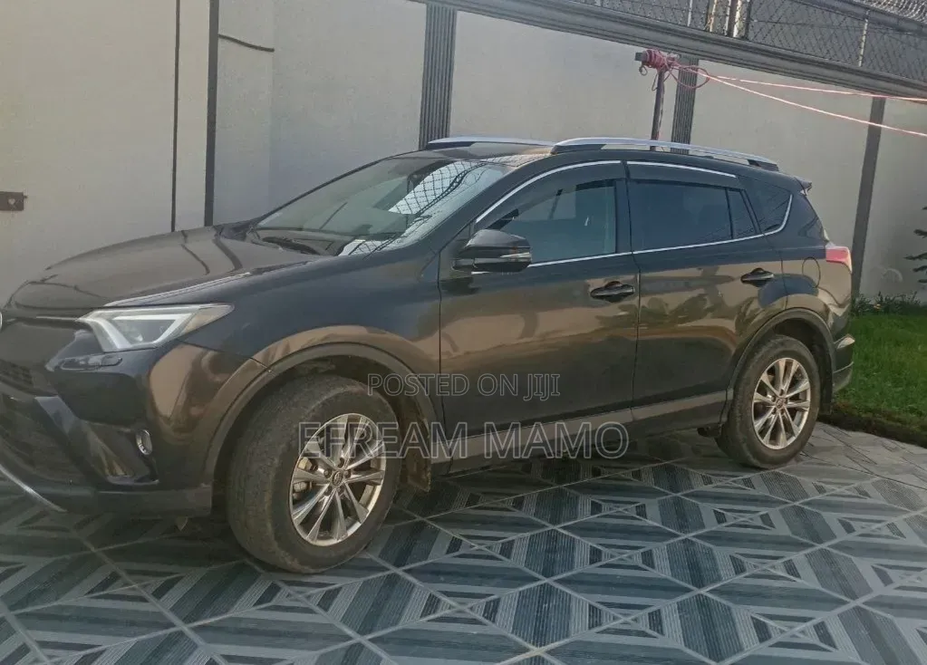 Toyota RAV4 2017