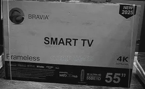 Salvador Tv 55 Inch Tv