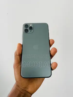 Apple iPhone 11 Pro Max 256 GB Gray